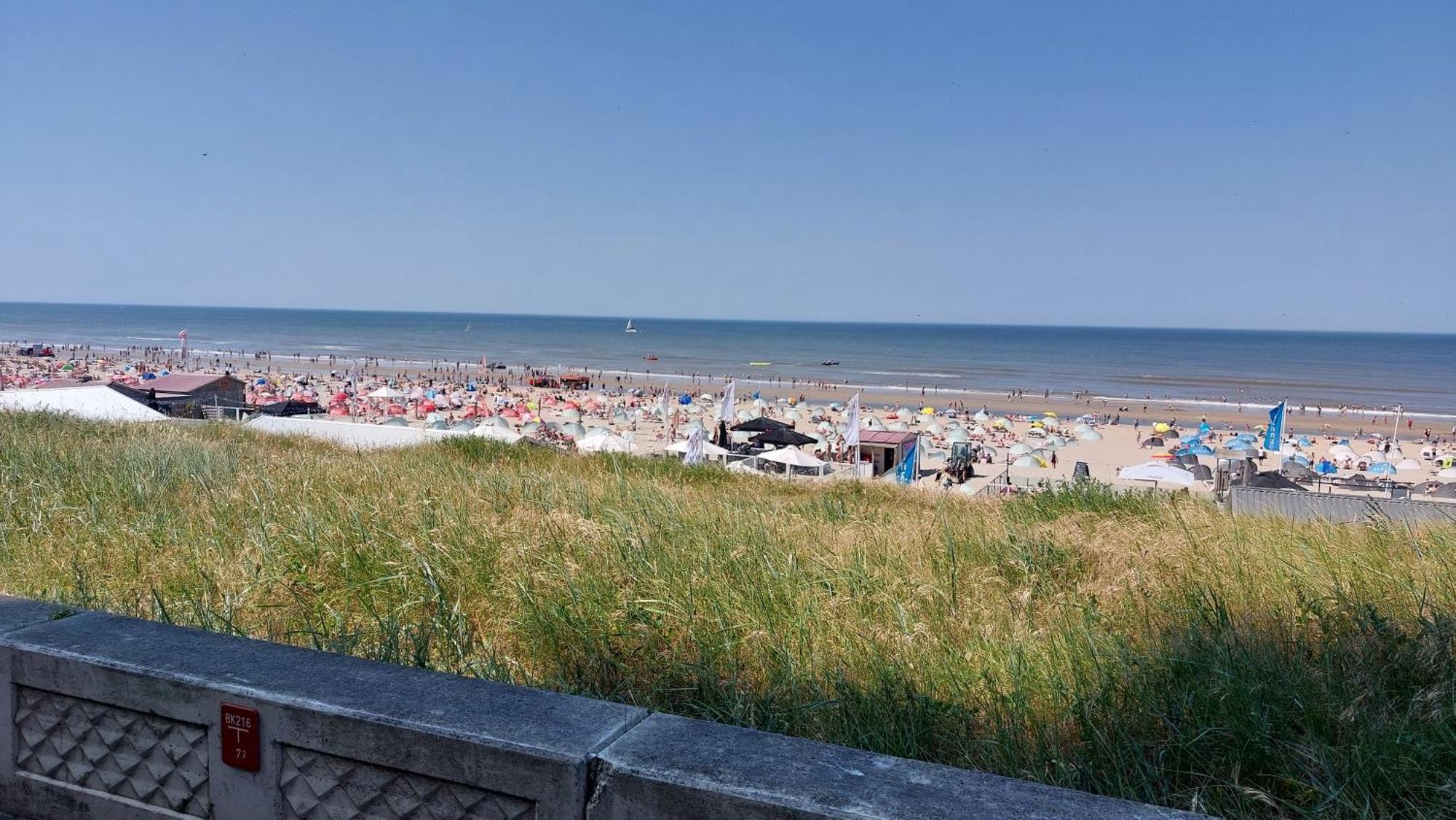 Ferienwohnung Zeelucht Zandvoort Exterior foto