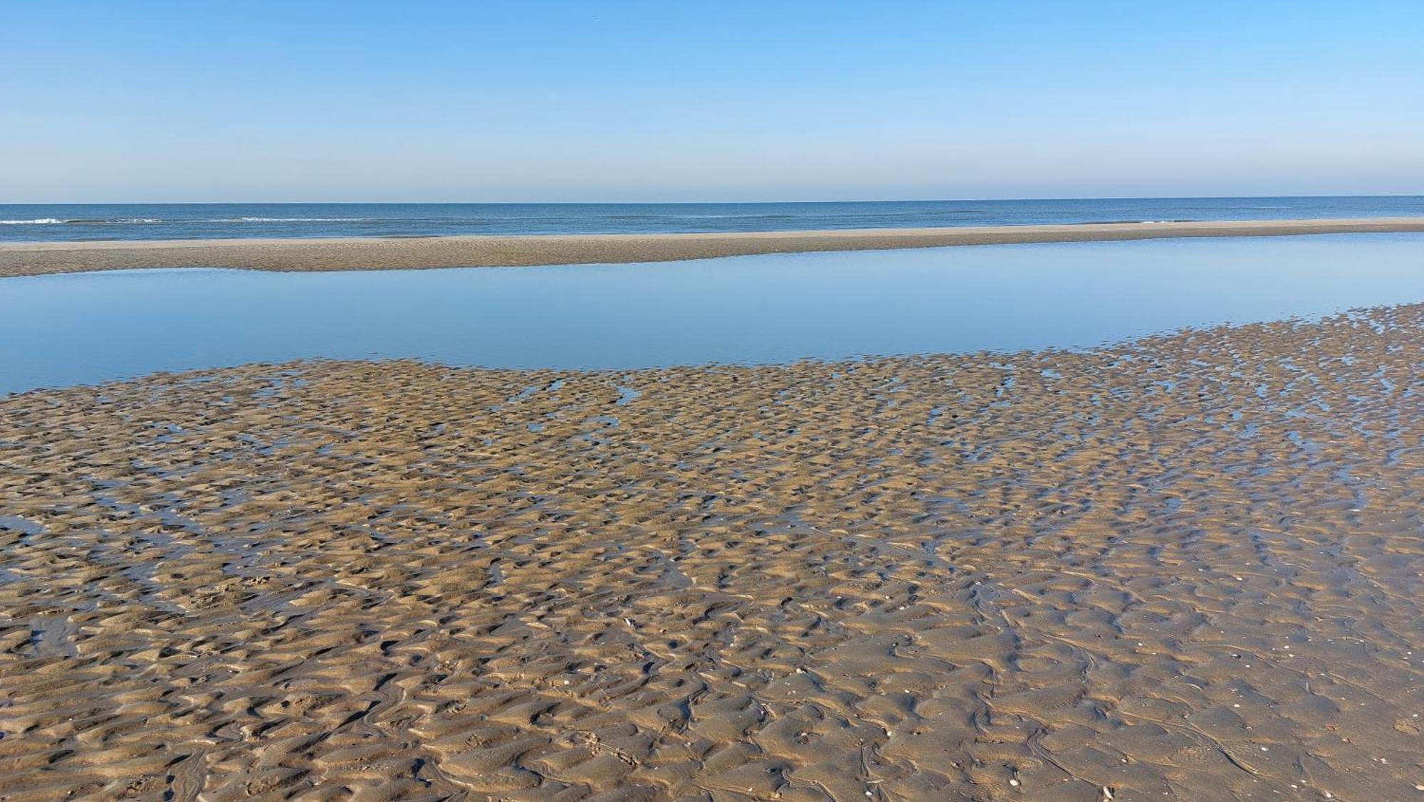 Ferienwohnung Zeelucht Zandvoort Exterior foto